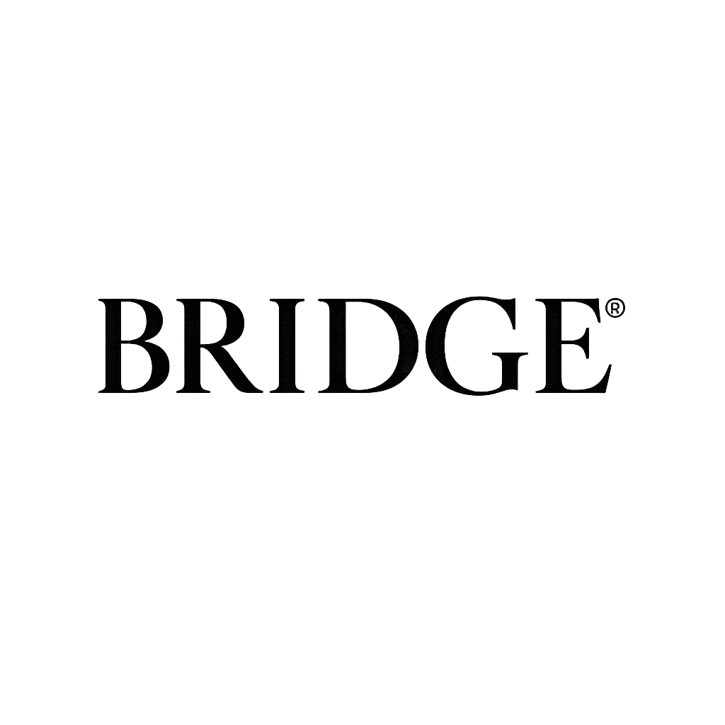 bridge transparent logo